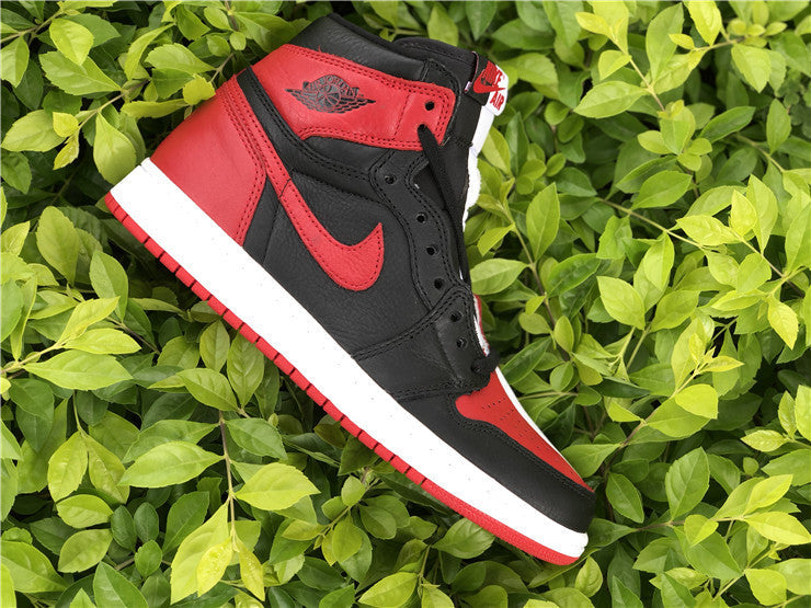 Air Jordan 1 “Homage To Home”