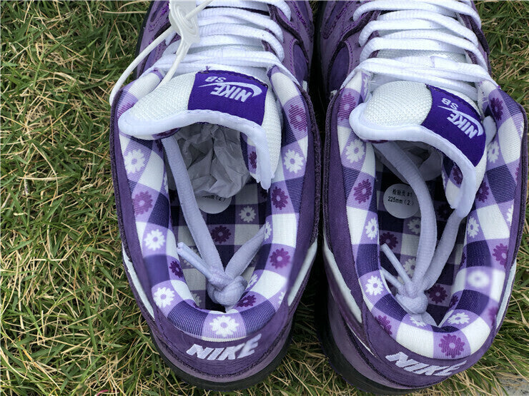 Nike SB Dunk Low Concepts Purple Lobster BV1310-555