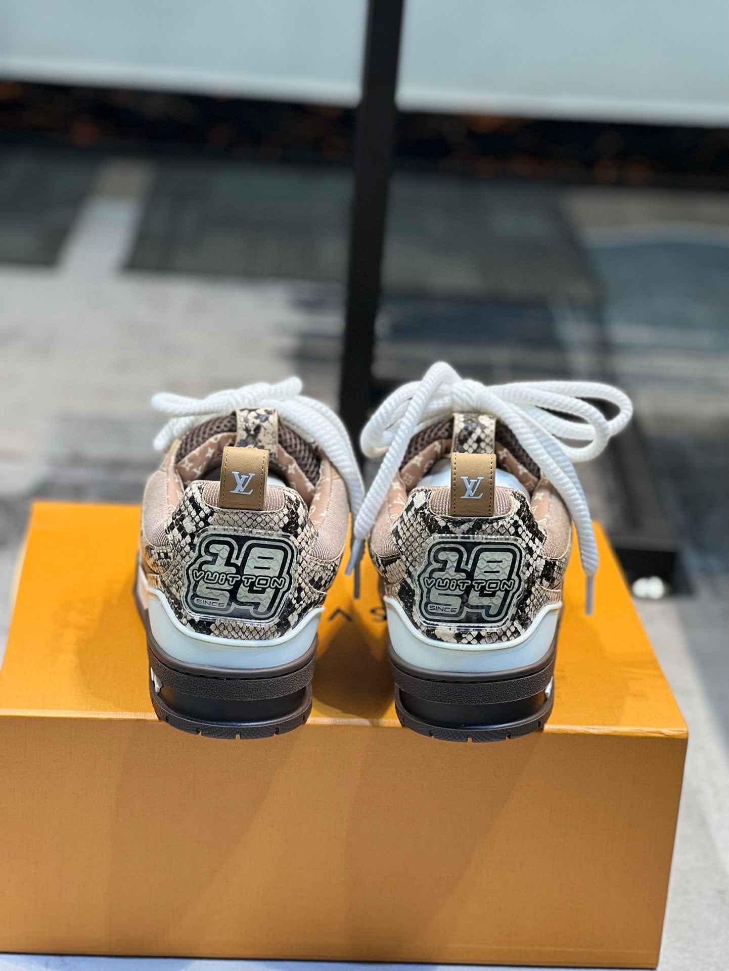 Skate Sneaker Brown Snakeskin