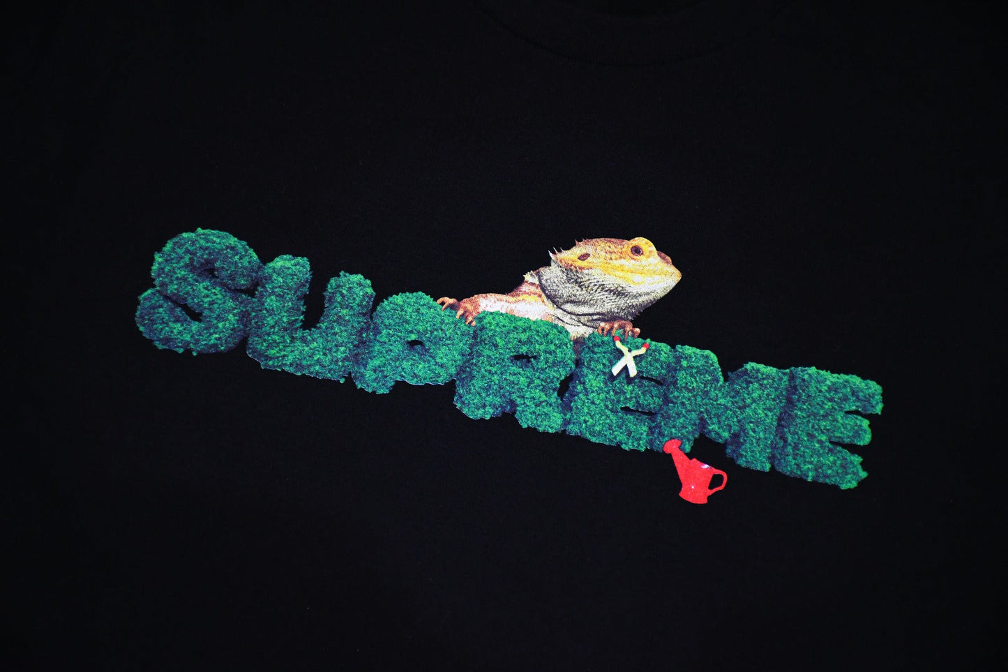 Camiseta Supreme Lizard Tee