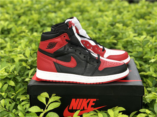 Air Jordan 1 “Homage To Home”