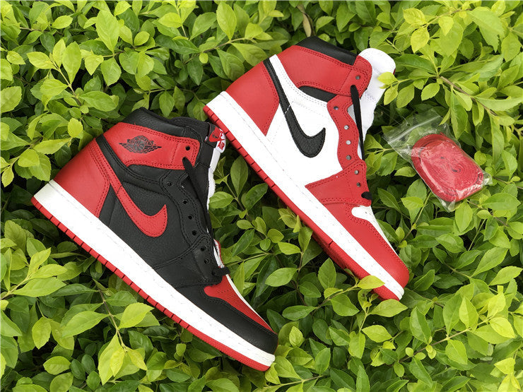 Air Jordan 1 “Homage To Home”