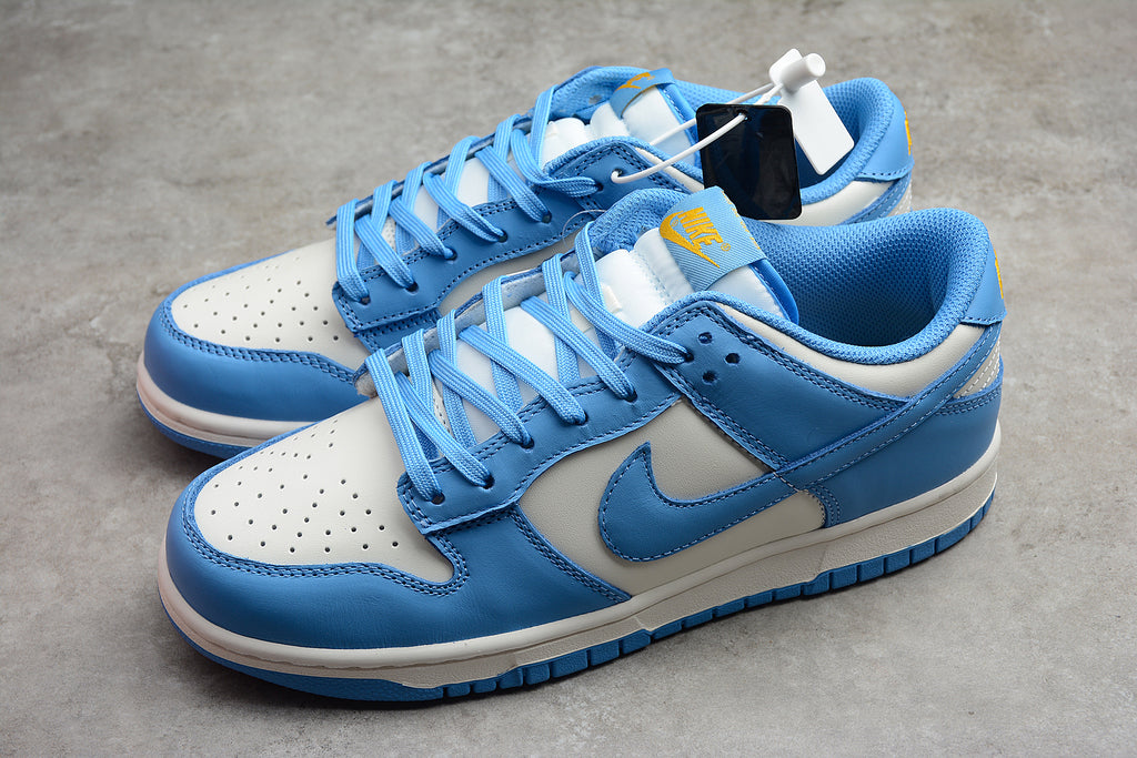 Nike Dunk Low Coast dD1503 100