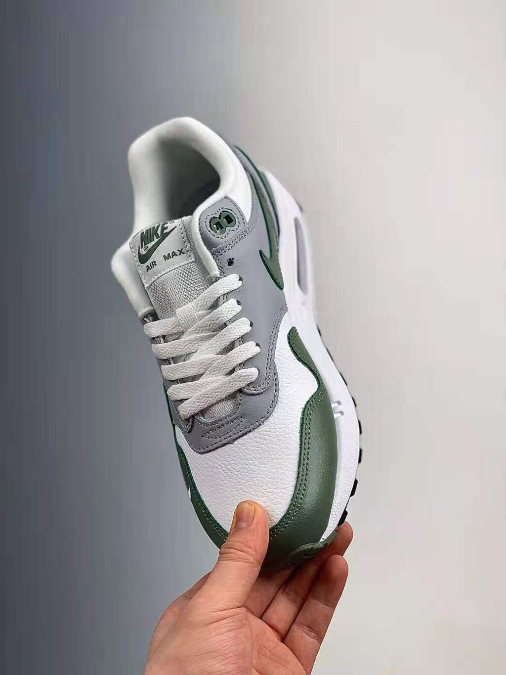 Nike Air Max 1 Spiral Sage DB5074-100