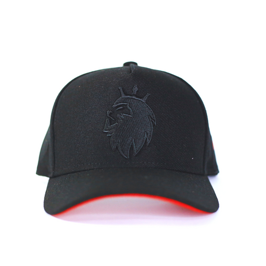 Boné Snapback Trucker Preto Judá